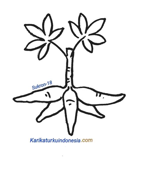 Detail Mewarnai Gambar Pohon Singkong Koleksi Nomer 2