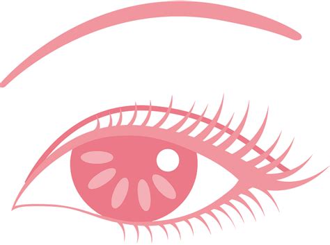Eye And Eyebrow Clipart Free Download Transparent Png Creazilla