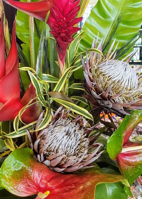 8 Most Beautiful Exotic Flowers Of Hawaii Mindfulness Memories