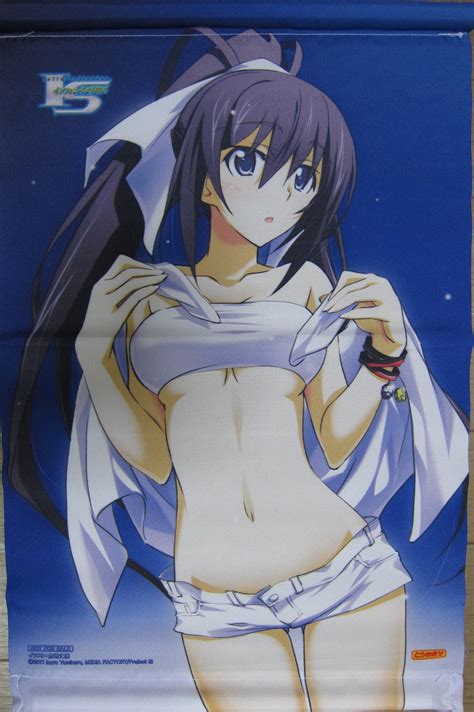 Houki Shinonono Sexy Hot Anime And Characters Photo 37244093 Fanpop