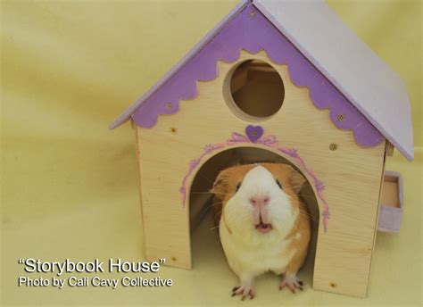 Cali Cavy Collective A Blog About All Things Guinea Pig Custom Built