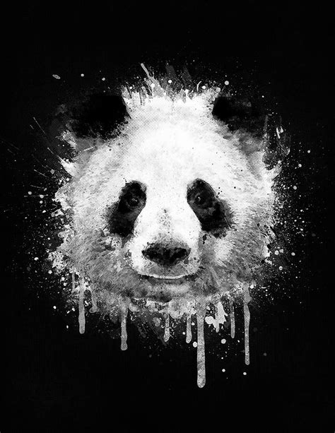 Cool Abstract Graffiti Watercolor Panda Portrait In Black And White By