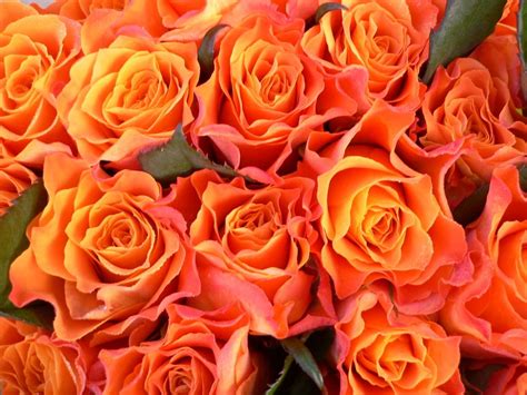 Apr 04, 2020 · orange aesthetic wallpapers. Orange Aesthetic Wallpaper - EnJpg
