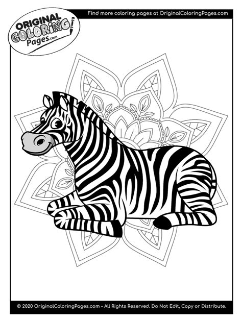 Zebra Coloring Pages | Coloring Pages - Original Coloring Pages