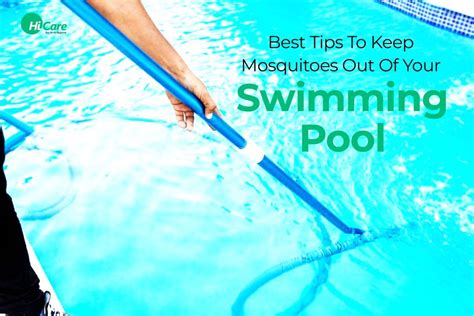 10 Top Tips To Keep Mosquitoes Away From Swimming Pool