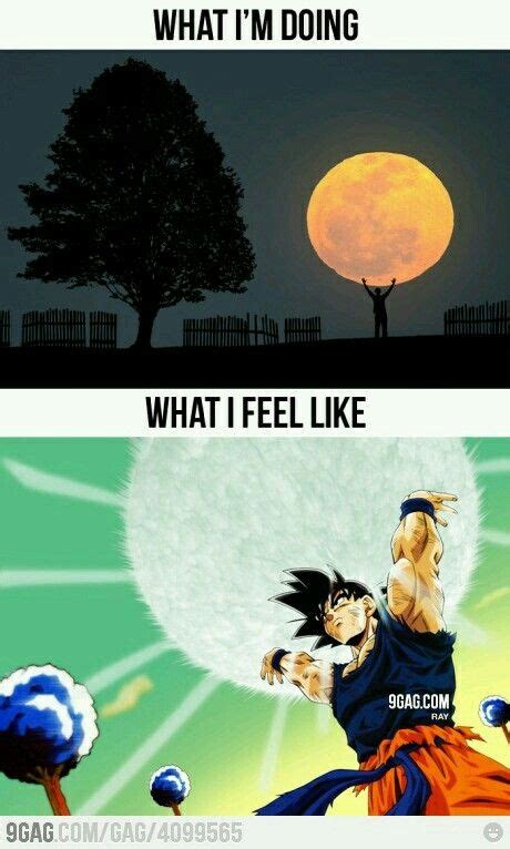 We did not find results for: Time for the spirit bomb | Dragon ball z, Dbz memes, Dragon ball