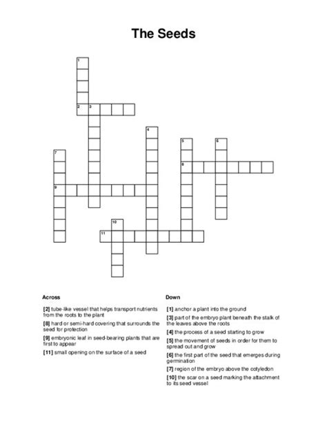 The Seeds Crossword Puzzle