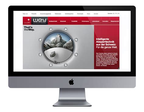İnternet kariyerine youtube ile başlayan sonuç. Wey :: Neue Agentur Luzern