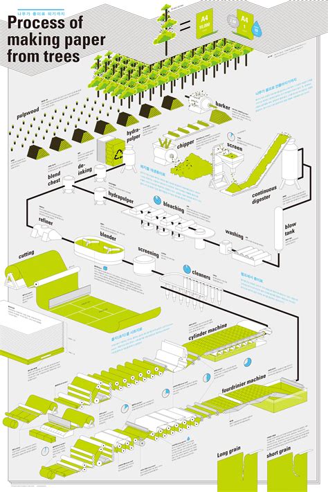 Process Of Making Paper From Trees Visually Infographic Data