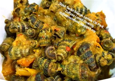 ZULFAZA LOVES COOKING: Siput sedut masak lemak cili padi