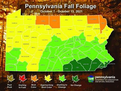 ‘best Color For Fall Foliage Has Arrived In These Pennsylvania