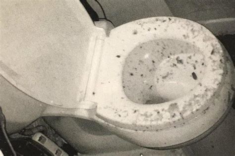 Woman Sues City After Toilet Explosion Left Her Literally Covered In Feces Information Nigeria