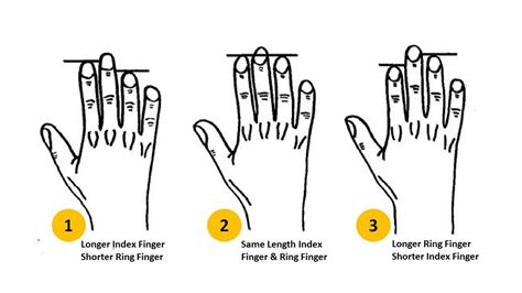 052023 Personality Test Your Finger Length Reveals These Personality