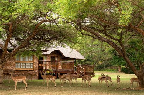 Golf and games family park in memphis, tennessee was the third stop on the 2018 blazing heat tour sponsored by south ridge landscape and softwash of alabama. Kruger Park Lodge - Accommodation Near Kruger Park
