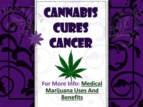 Ppt Cannabis Cures Cancer Powerpoint Presentation Free Download Id