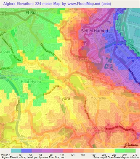 Elevation Of Algiersalgeria Elevation Map Topography Contour