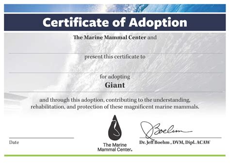 Adopt A Seal® Giant Exclusive Digital Download The Marine Mammal Center T Store