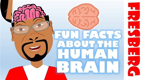 Fun Facts About The Brain Interesting Facts About The Human Brain