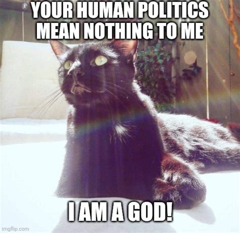 cats are gods imgflip