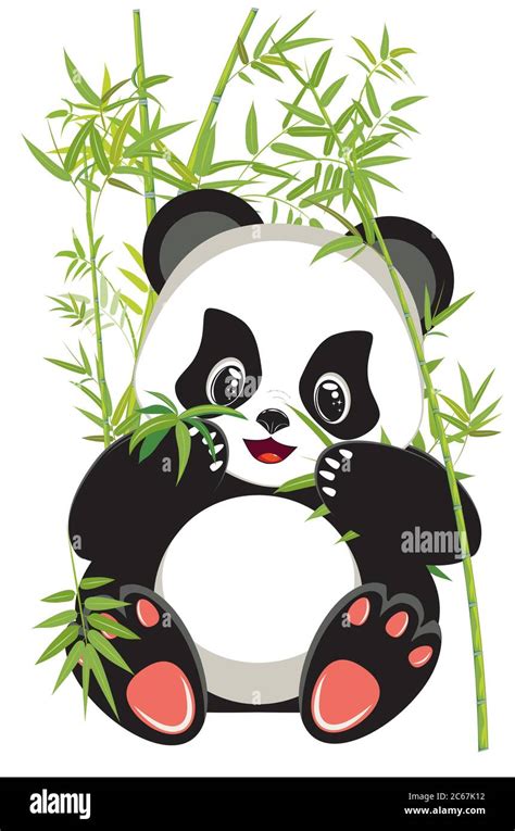 Cute Cartoon Panda Bear With Green Bamboo Design Stock Vector Image