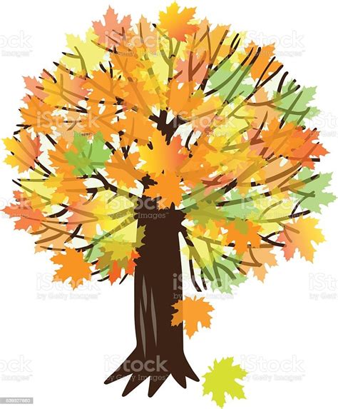 Vector Illustration With A Maple Tree Stock Illustration Download