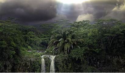 Rainforest Tropical Background Waterfall Dark Wallpapers Forest