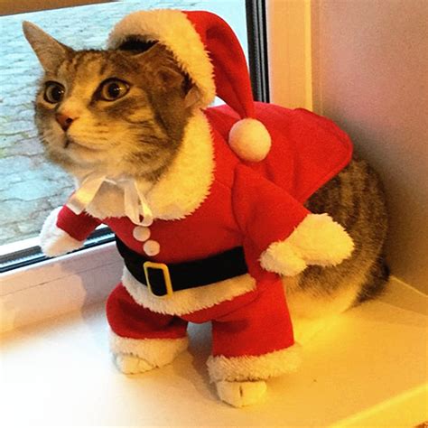 Christmas Cat Costumes Funny Santa Claus Clothes For Small Etsy