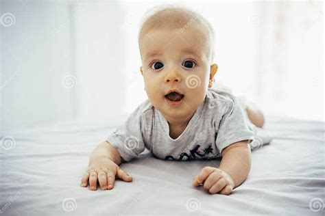 Adorable Baby Boy Lying On His Tummy Stock Image Image Of Face