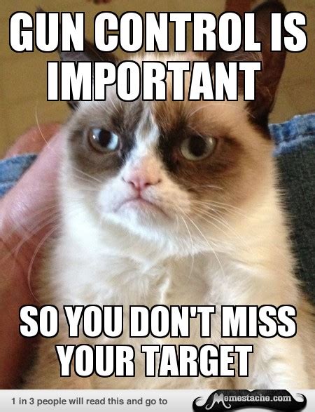 Grumpy Cat On Gun Control Imgur