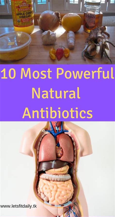 10 Most Powerful Natural Antibiotics Natural Antibiotics Healthy