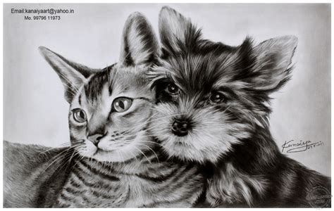 Charcoal Drawing Of Cat And Dog Desi Painters