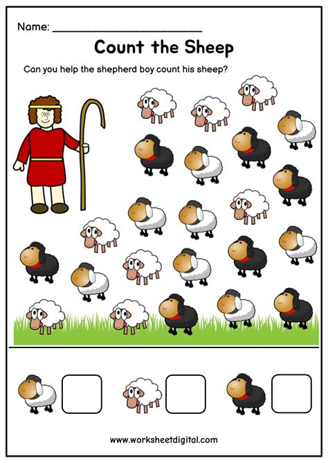 Count The Sheep Worksheet Digital