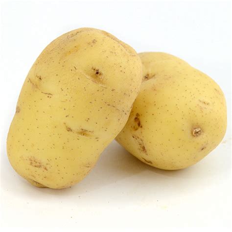 Produce Market Guide Pmg Yukon Gold Potatoes
