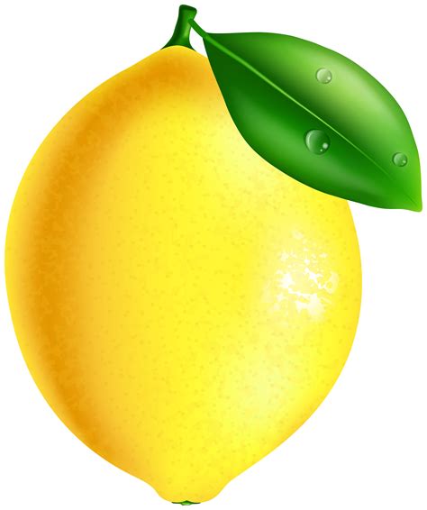 0 Result Images Of Lemon Tree Png Clipart Png Image Collection