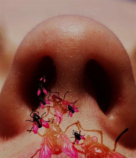 What Actually Happens When A Bug Flies In Your Nose