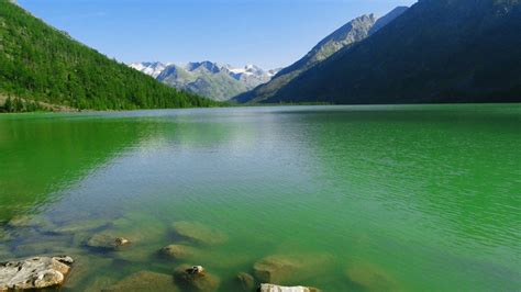 Green Water Lake Wallpaper