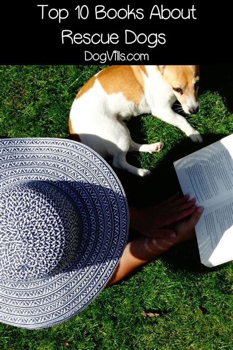 Top 10 Books About Rescue Dogs That Will Give You All The Feels Dogvills