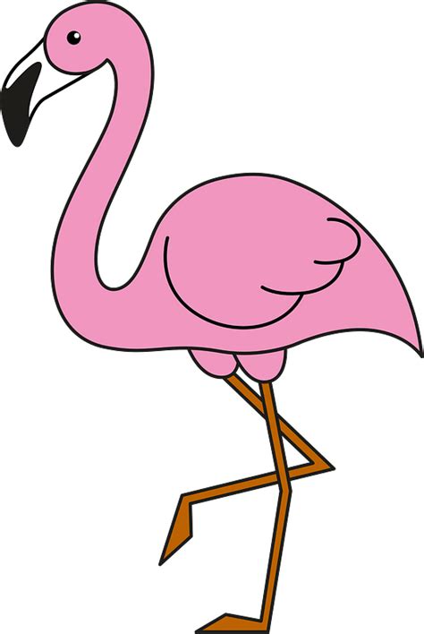 Flamingos Clipart Free Download Transparent Png Creazilla