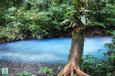 Visitar El Pn VolcÁn Tenorio En Costa Rica Guía Completa De Mayor