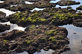 藻礁公投連署書 過35萬份安全門檻 詹順貴：溝通的開始 | 環境資訊中心