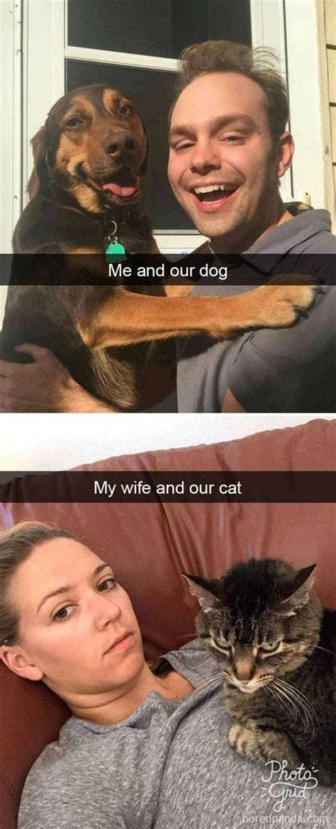 15 Cat Vs Dog Memes To Show Whos The Boss Funny Dog Memes Funniest