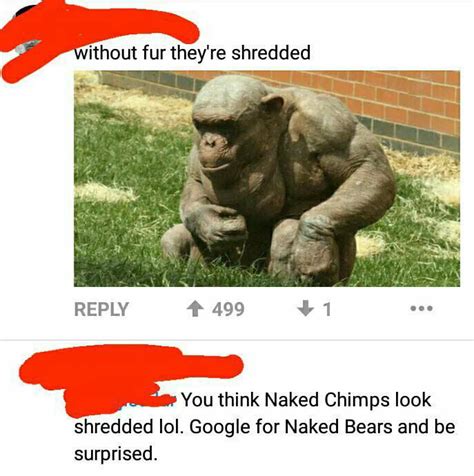 Naked Bears Are Buff Yo 9GAG