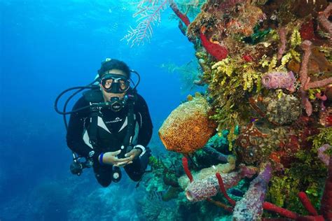 How deep is a deep dive? Discover Scuba Diving Gran Canaria Excitement and Adventure