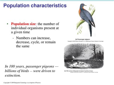 Ppt Population Biology Concepts Powerpoint Presentation Free