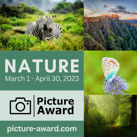 Picture Award 2023 Nature Photo Contest Calendar 2024
