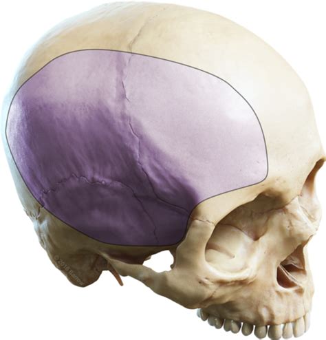 Hemicraniectomy For Penetrating Skull Injury