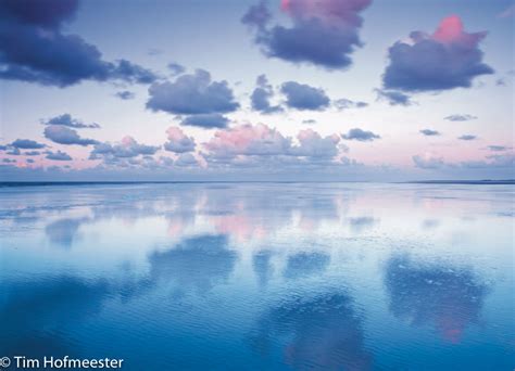 Belichting Van De Lucht Natuurfotografie