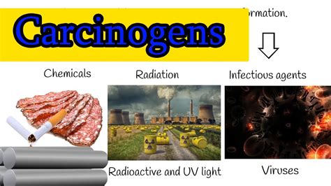 Carcinogen Examples
