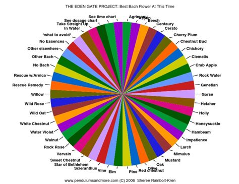 BACHFLOWERS PENDULUM CHART | Bach Flower Remedies | Plants