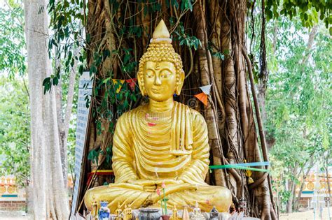 Buddha Image Under Bodhi Tree Stock Photo Image Of East Sculpture